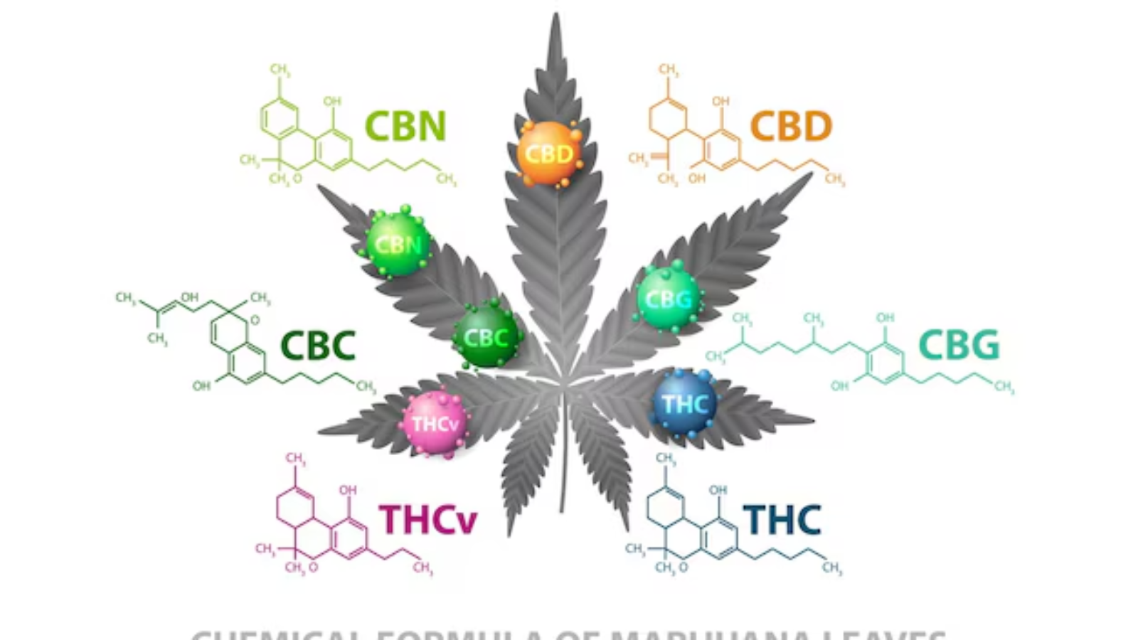 le cbg et cbd Nancy